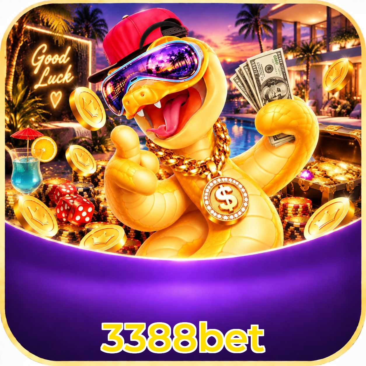 Comparação APP Mobile vs Versão Web 3388bet